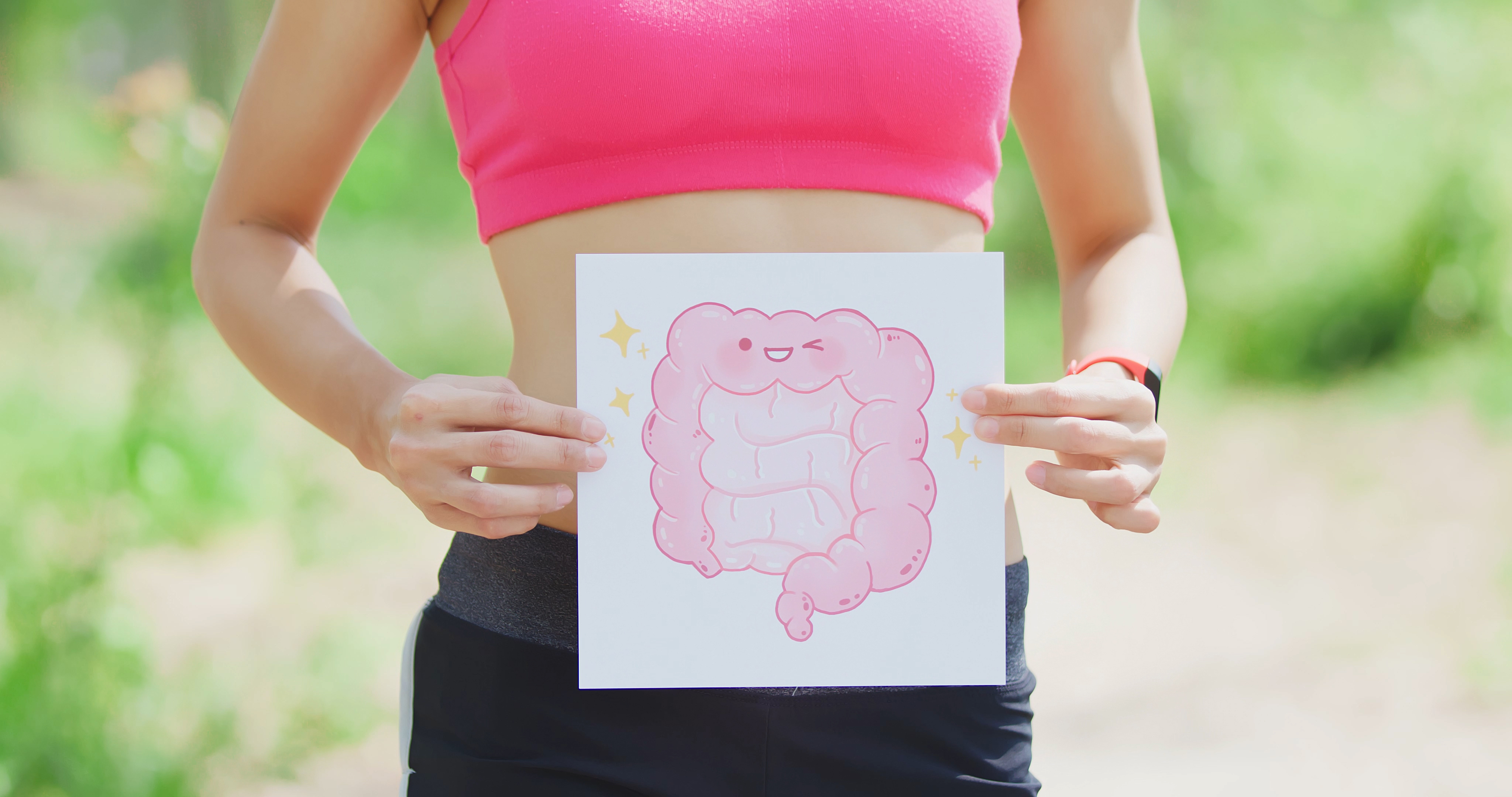 A woman holding an illustration of the gastrointestinal system in front of her abdomen. 